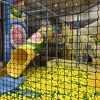 キッズパラダイス