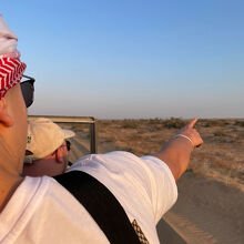 夕日、ラクダ、夜空最高