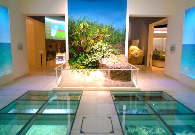 沖縄県立博物館 美術館