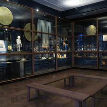 シーボルトの収集品が並ぶ常設展の一画。