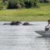象の群れの水遊びが間近で見られました