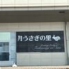 かわいいうさぎに餌をやり、触れます