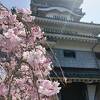 桜の時期に