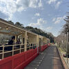 トロッコ列車の展望車は、この時期風が直接当たって寒いので注意です！