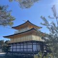 大人になっても再訪金閣寺