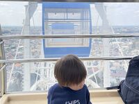 もりのゆうえんち