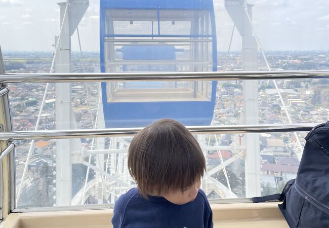 もりのゆうえんち