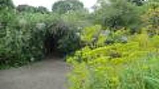 向島百花園