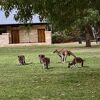 ヤンチャップ国立公園の過ごし方について