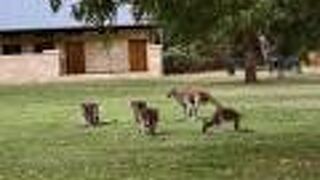 ヤンチャップ国立公園