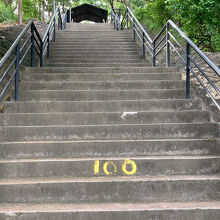 100段おきに黄色いペンキでマーキングされています