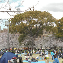 鶴舞公園