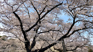 都立小金井公園
