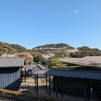 広大な敷地はとても静か。のんびり過ごせます