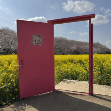 写真撮影順番待ちのどこでもドア