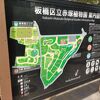 桜はかなり散ってきていました