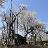 強さと美しさ