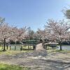 花見にもお薦め