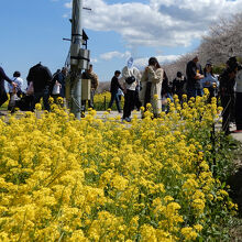 テレビ撮影のスタッフも見かけた