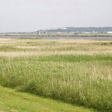 利根川河川敷の風景