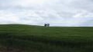 緑の大地と青い空の世界