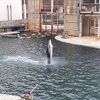 生き物の他に景色も楽しめる点で１粒で二度美味しい水族館
