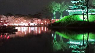 第100回高田城址公園観桜会