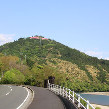 正面が冨士山。頂上付近は満開のツツジでピンク色！