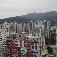 客室からの眺め