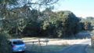 トモエガモが見られました。