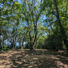 Ruins of a hillside castle in Aki city: a quiet historical site with limited tourist infrastructure