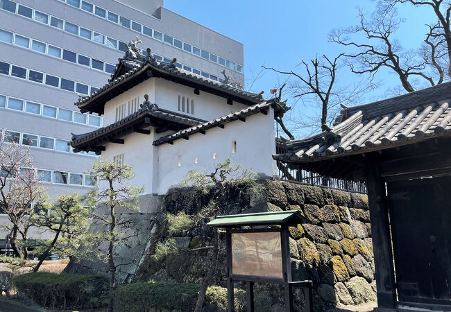 高崎城址 クチコミ・アクセス・営業時間｜高崎【フォートラベル】