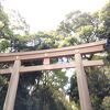 日本とは思えないです