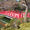 假屋崎省吾×牡丹