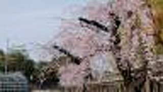 名城公園