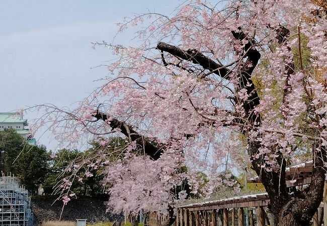 名城公園