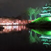 夜桜が綺麗だった