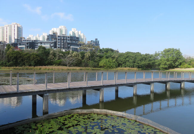 香港ウェットランド パーク (香港湿地公園)