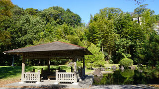 日本庭園のように美しく整備された一角