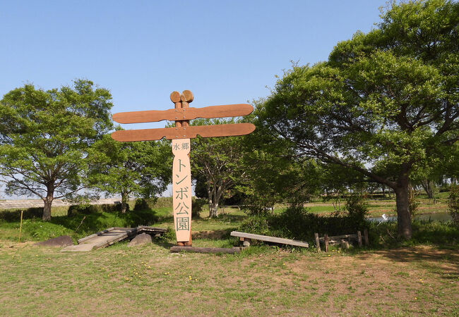 セイタカシギが見られました。