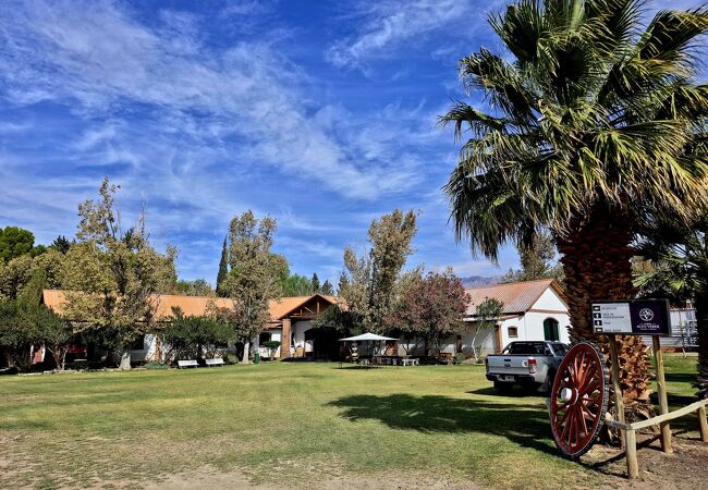 ファブリル アルト ヴェルデ