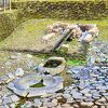 「亀形石造物」これは面白いです！見にいく価値ありです♪