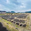 「飛鳥宮跡」当時の空気感が伝わって来るような気がします。