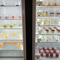 朝食会場のディスプレイもおしゃれでした