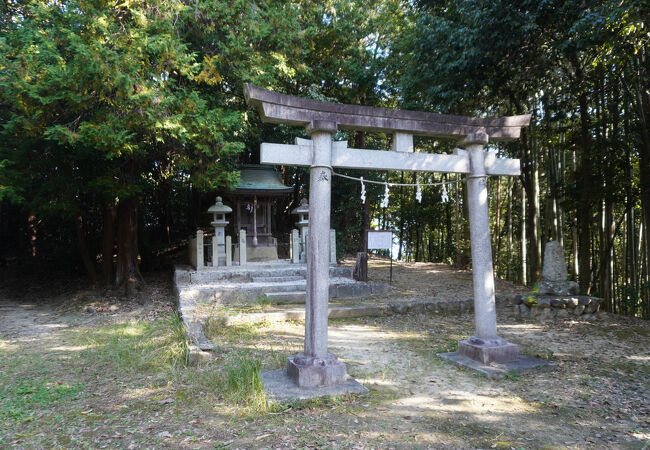 古墳の山を散策するといった楽しみ方です