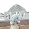最終日に行きました