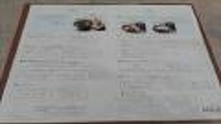 シェラトンマルシェ