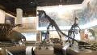 滝川市美術自然史館