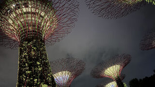 スカイウォークはスリル満点