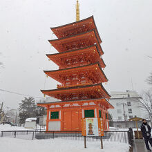 完成した五重塔